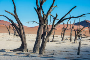 Deadvlei, an old dry lake in the Namib desert, Namibia Deadvlei, an old dry lake in the Namib desert, Namibia
